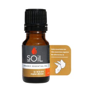 Ginger oil 10ml