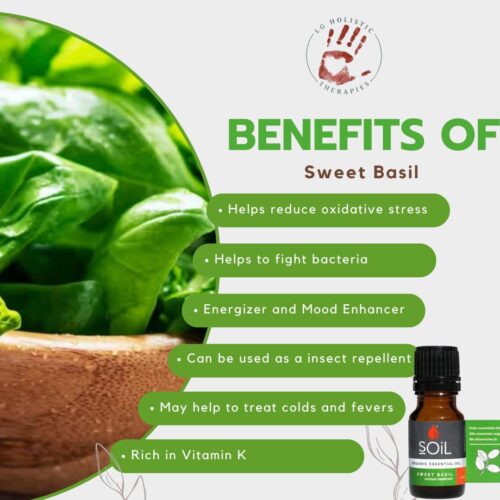 Basil Essential Oil 10ml - Image 2