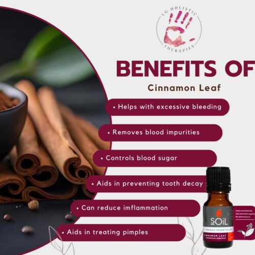 Cinnamon Leaf Essential Oil 10ml - Image 2