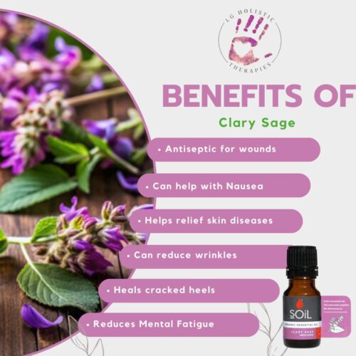 Clary Sage Essential Oil 10ml - Image 2
