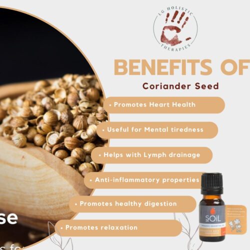 Coriander Seed Essential Oil 10ml - Image 2