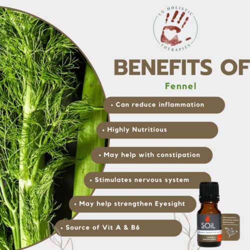 Fennel Essential Oil 10ml - Image 2