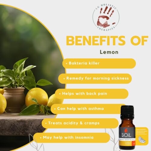 Lemon Essential Oil 10ml - Image 2
