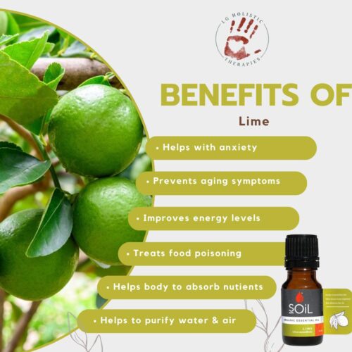 Lime Essential Oil 10ml - Image 2