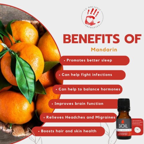Mandarin Essential Oil - Image 2