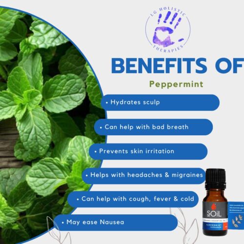 Peppermint Essential Oil - Image 2