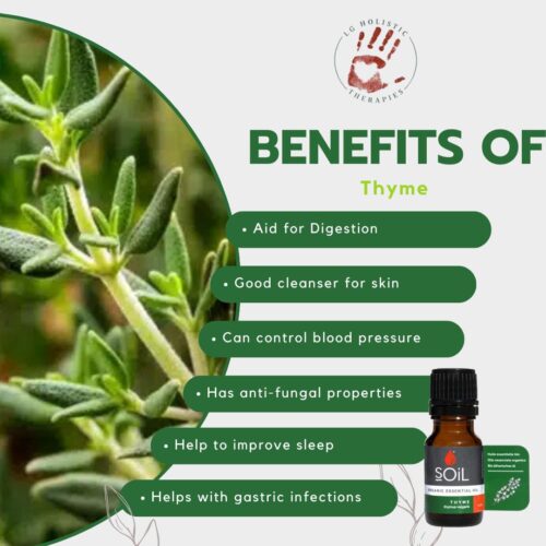 Thyme Essential Oil 10ml - Image 2