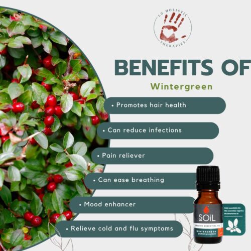 Wintergreen Essential Oil 10ml - Image 2